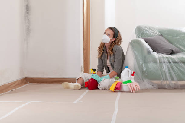 Reliable Basement Mold Removal contractor in Bowie, TX by WQB Mold Removal